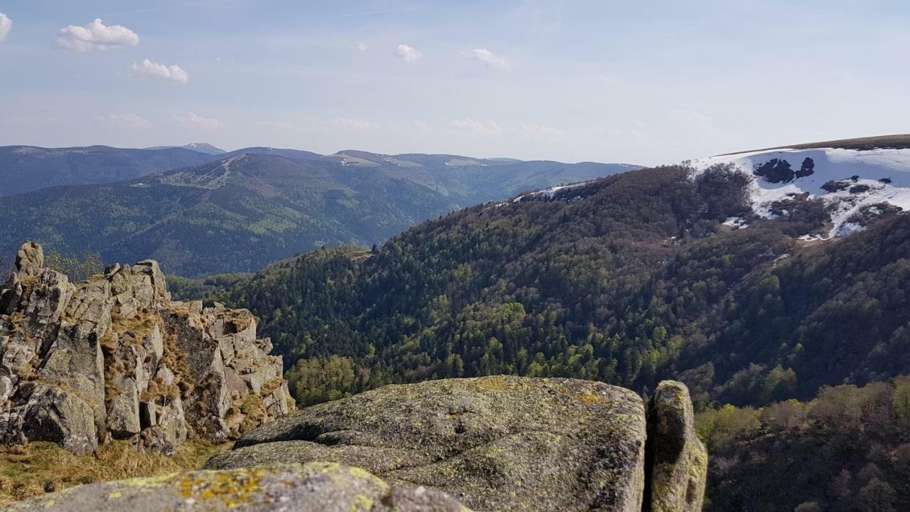 Les Dryades Gérardmer Eksteriør bilde