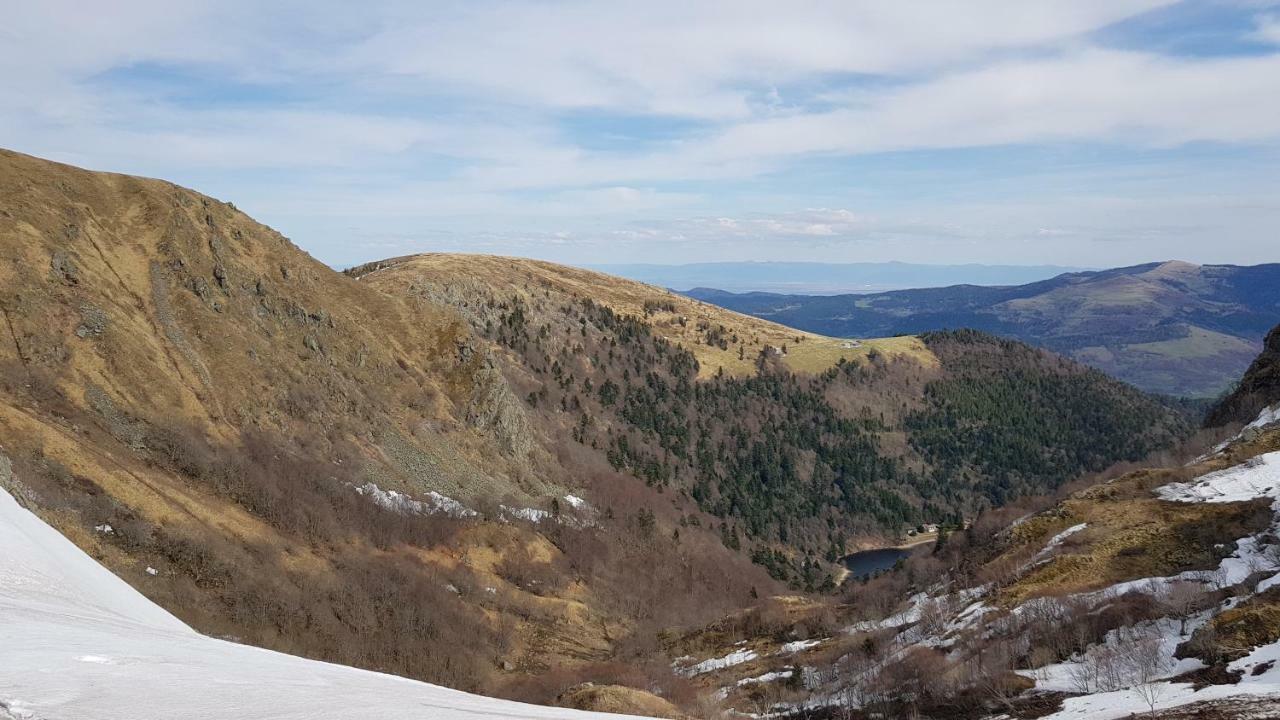Les Dryades Gérardmer Eksteriør bilde